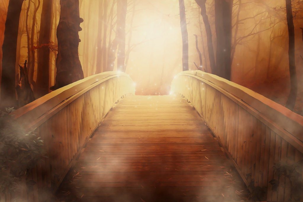 Illustration de l'orientation professionelle via un pont lumineux en bois